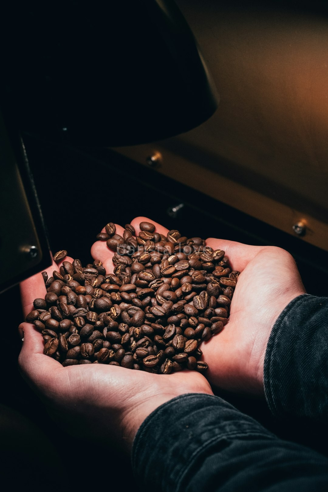 Brewing Workshops